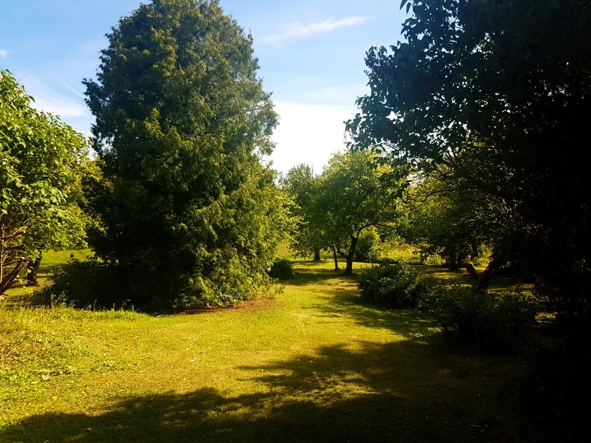 Paali Cottages Tornimae Εξωτερικό φωτογραφία