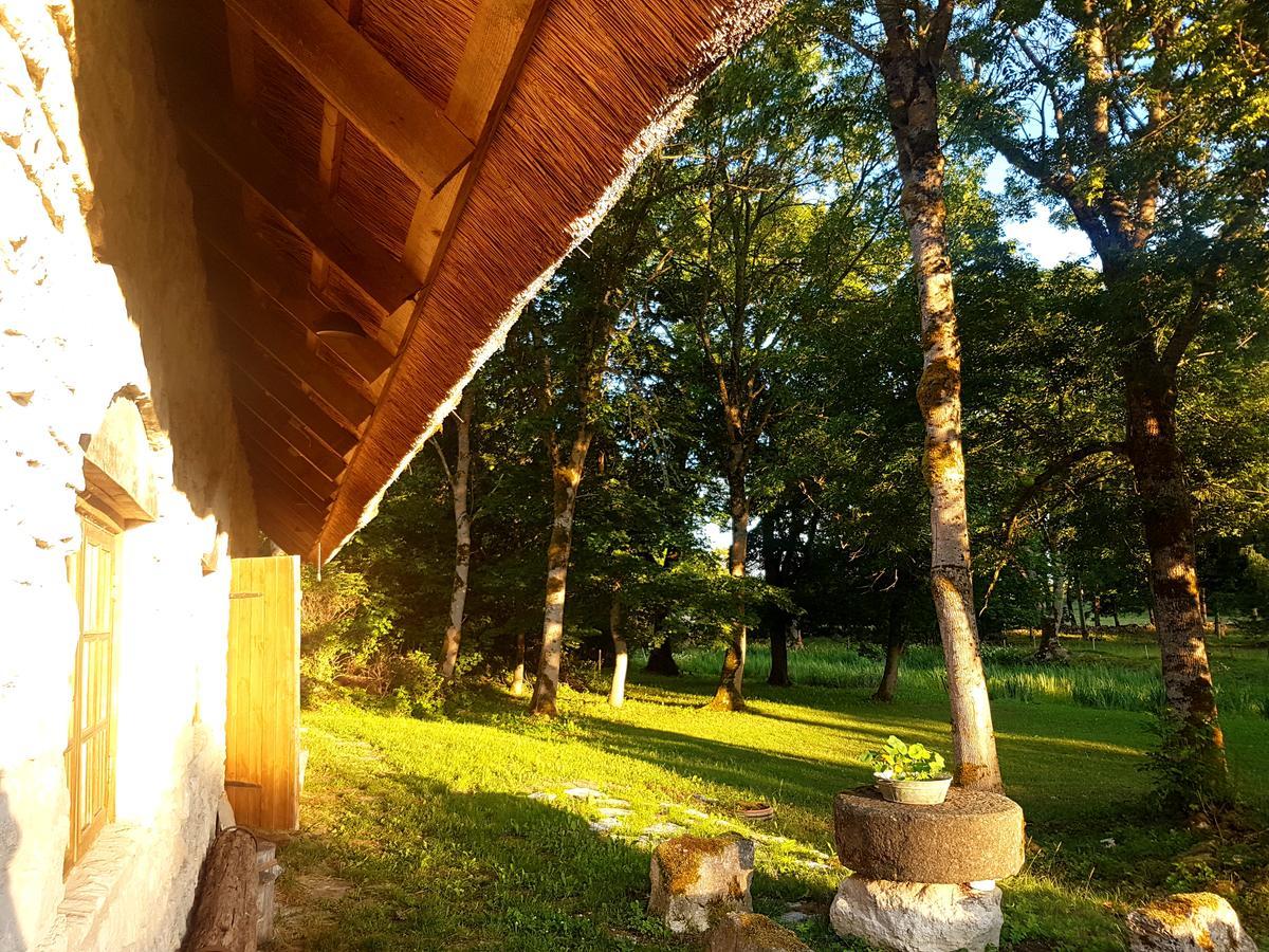 Paali Cottages Tornimae Εξωτερικό φωτογραφία